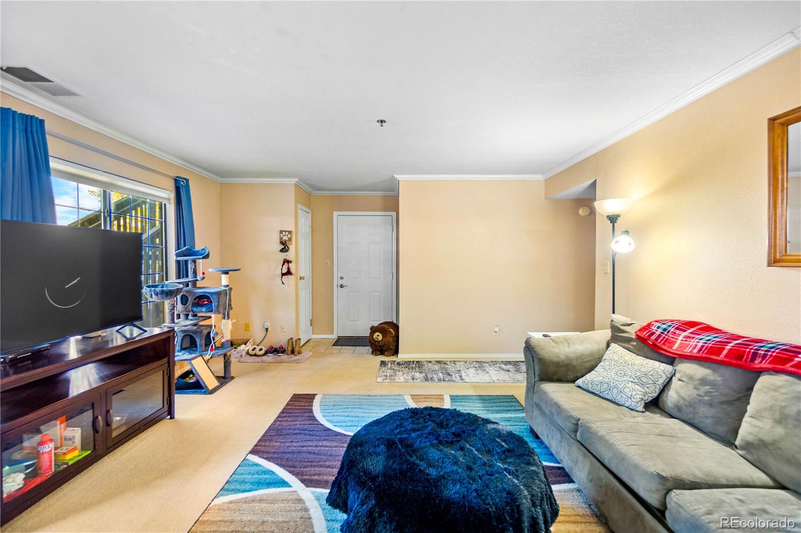 MLS Image #5 for 2170  alicia point,colorado springs, Colorado