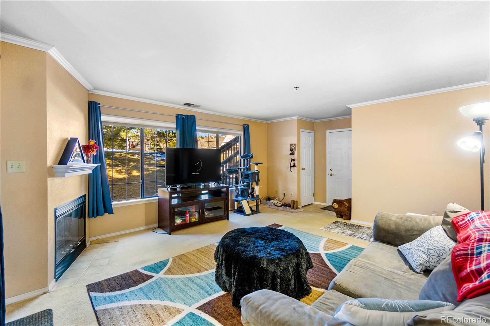 MLS Image #6 for 2170  alicia point,colorado springs, Colorado