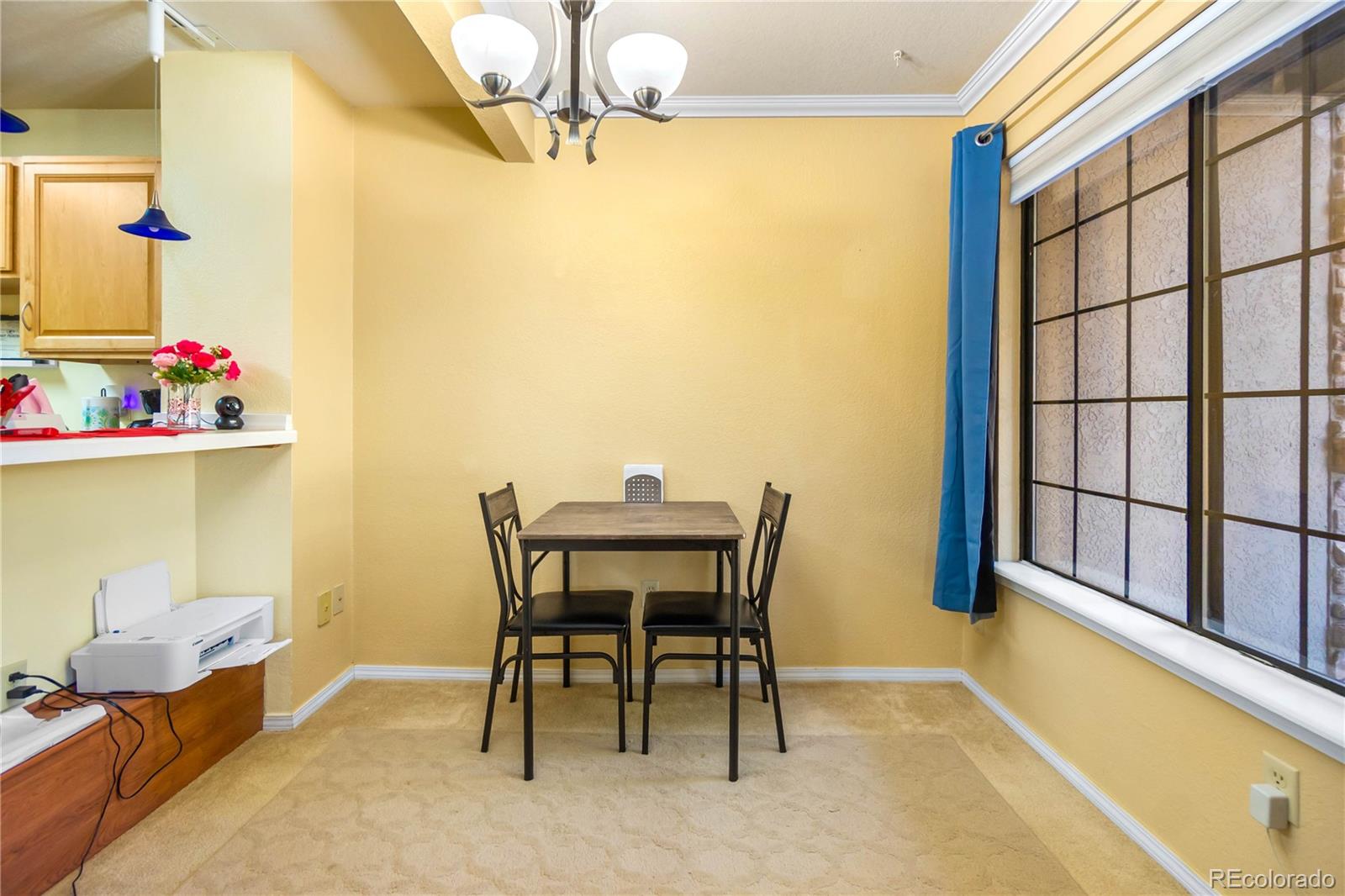 MLS Image #9 for 2170  alicia point,colorado springs, Colorado