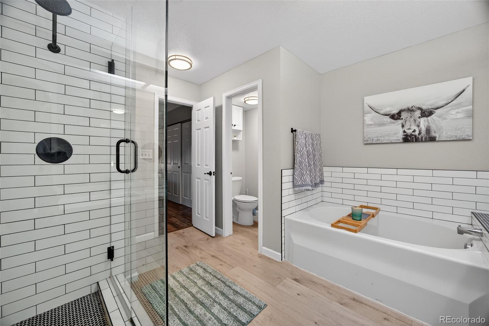 MLS Image #16 for 6731 s ivy way,centennial, Colorado