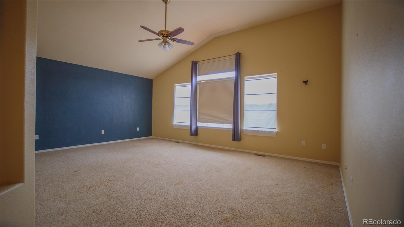 MLS Image #6 for 1463  harvard street,longmont, Colorado