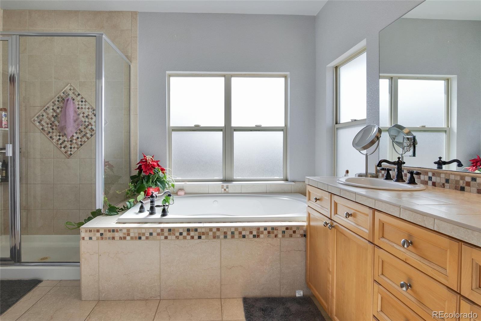 MLS Image #10 for 271  corvette circle,fort lupton, Colorado