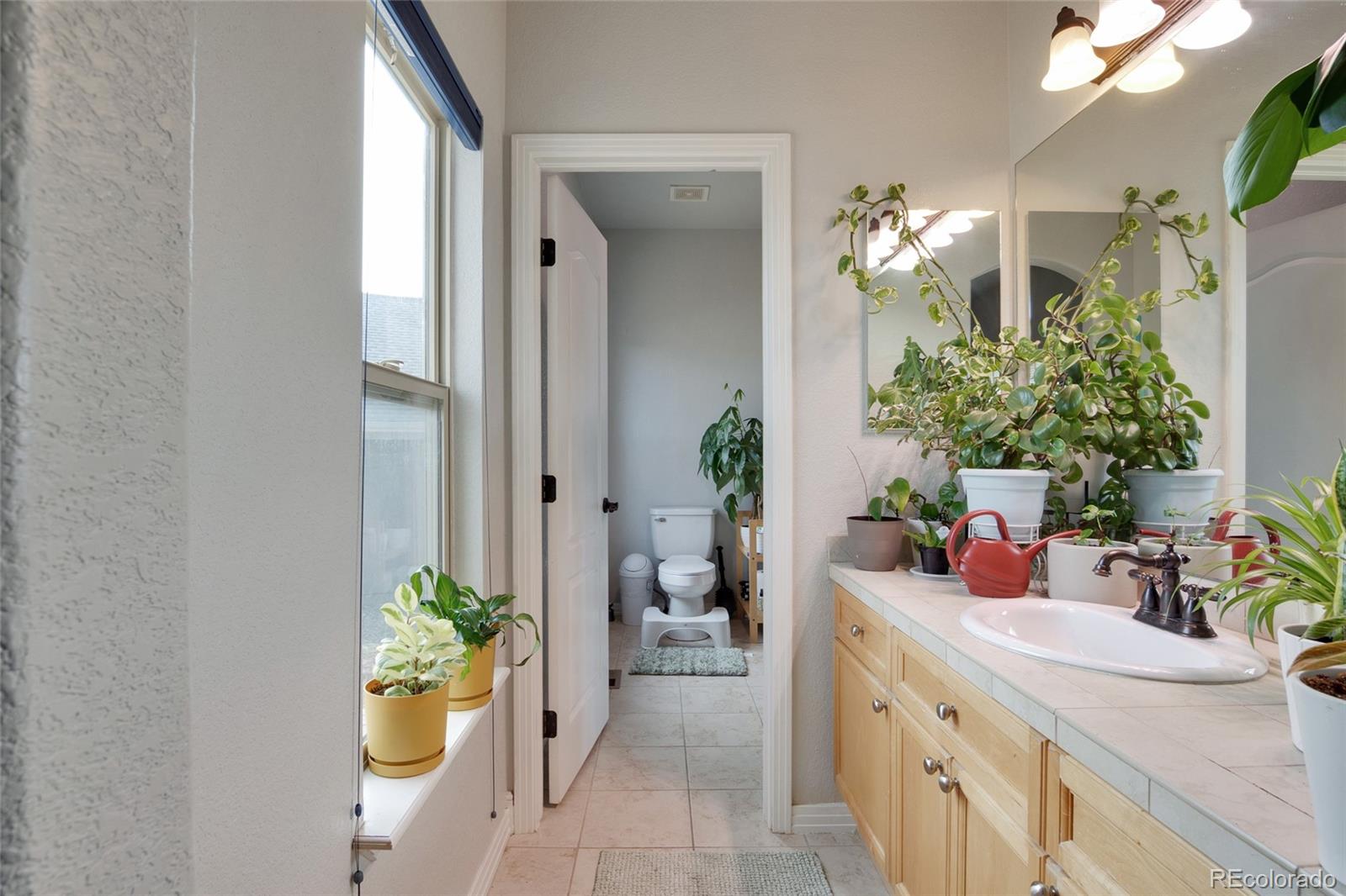 MLS Image #7 for 271  corvette circle,fort lupton, Colorado