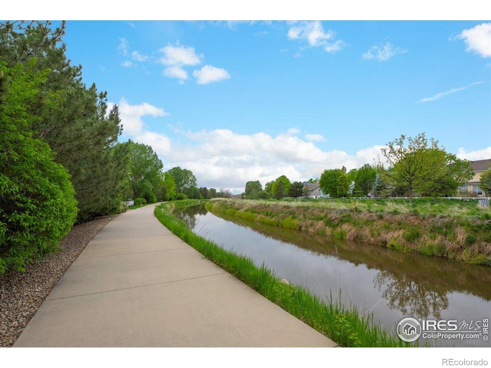 MLS Image #28 for 4622  hahns peak drive,loveland, Colorado