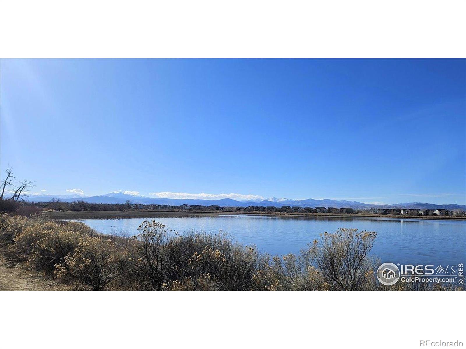 MLS Image #29 for 4622  hahns peak drive,loveland, Colorado