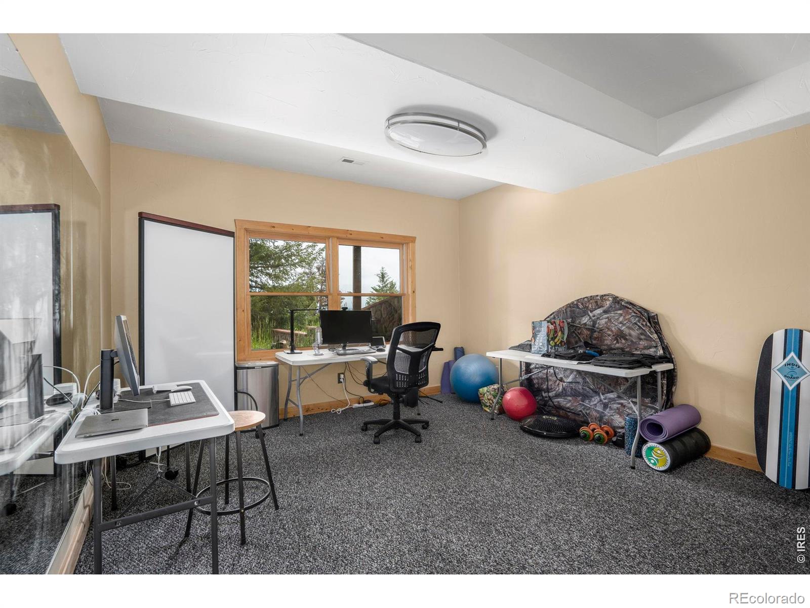 MLS Image #19 for 555  james park trail,loveland, Colorado