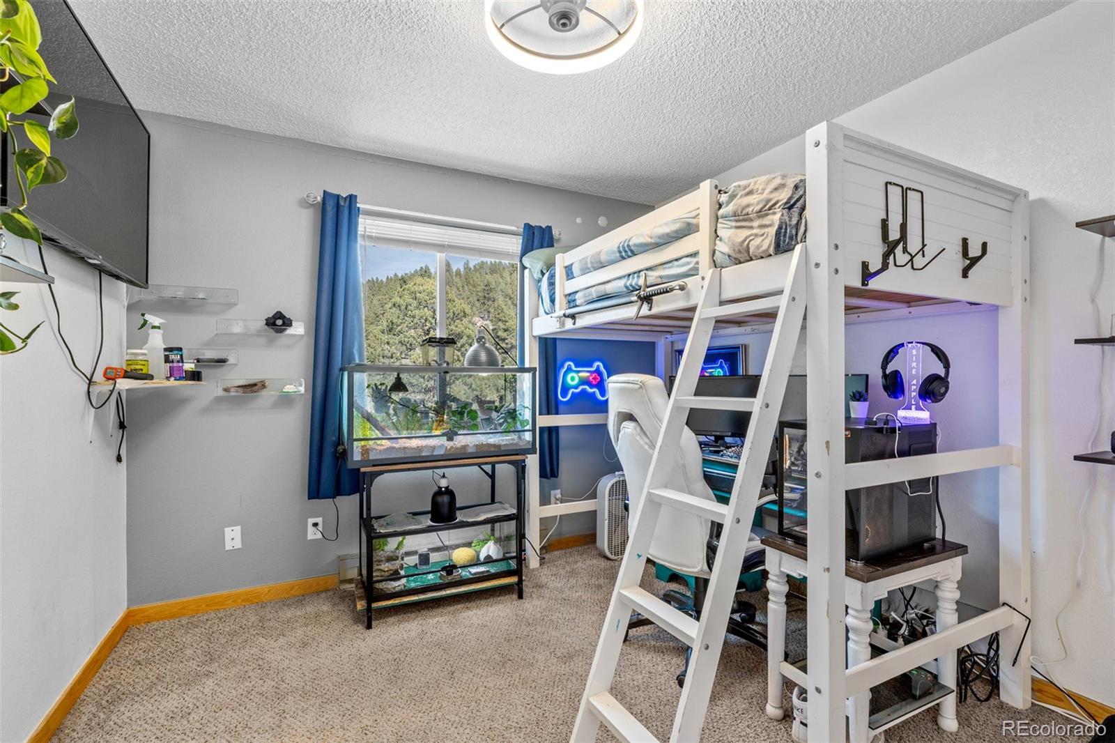 MLS Image #10 for 987  wisp creek drive,bailey, Colorado