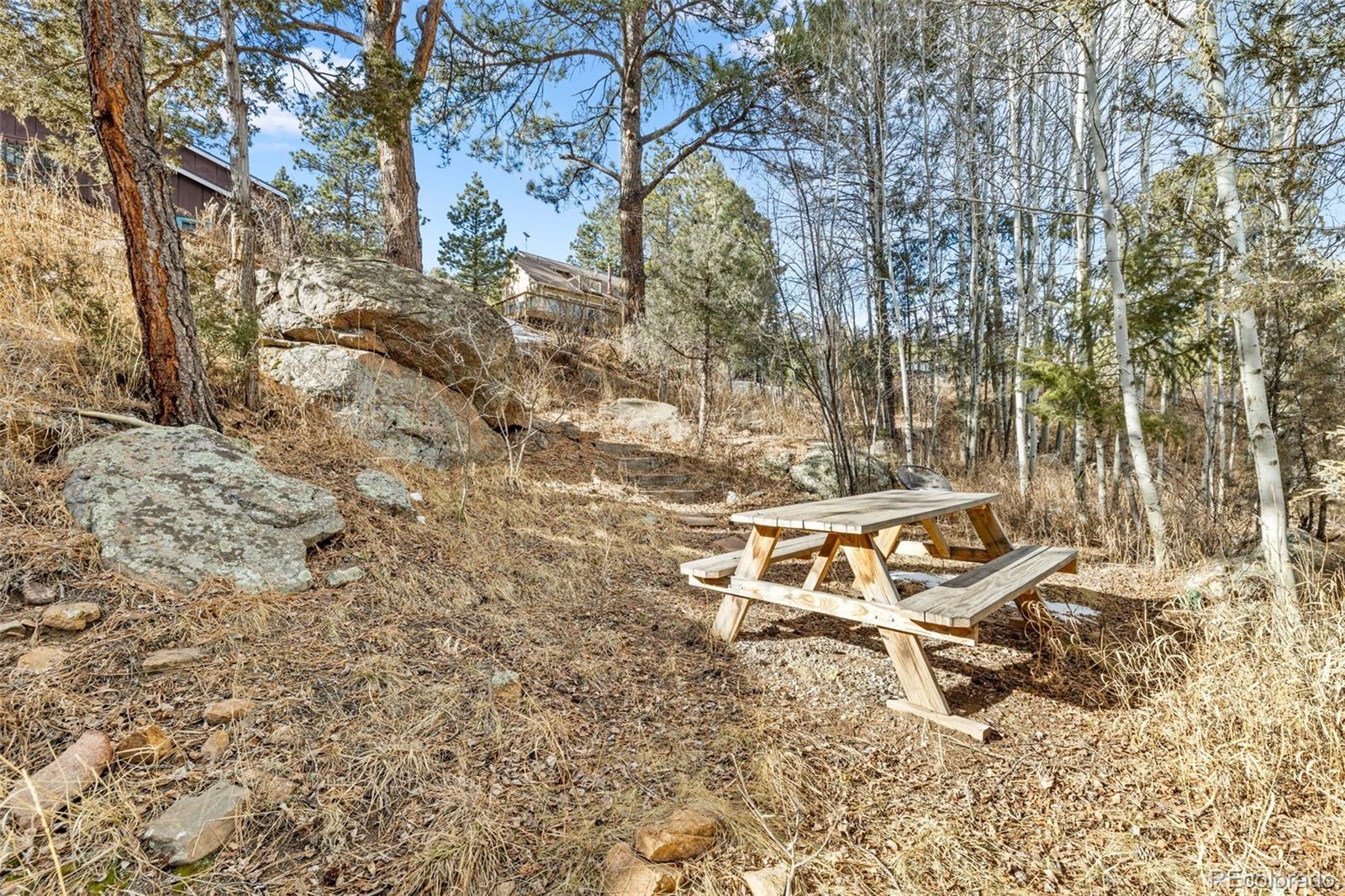 MLS Image #19 for 987  wisp creek drive,bailey, Colorado