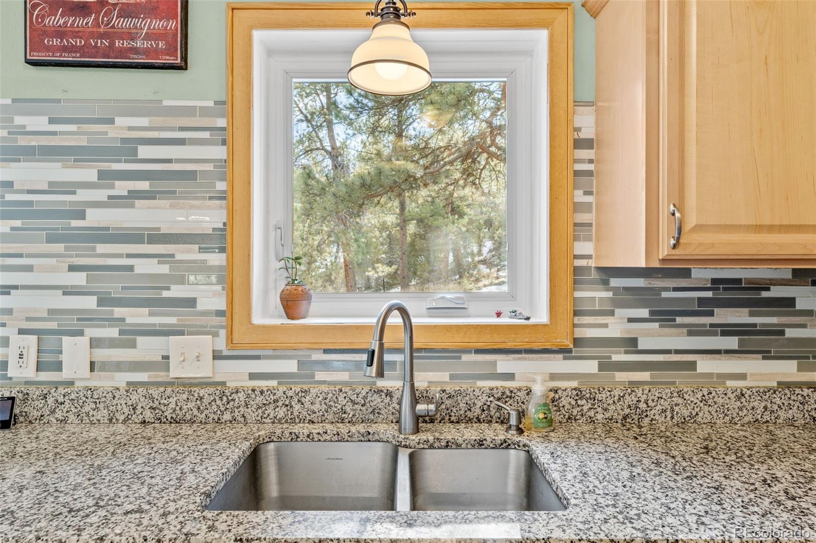 MLS Image #6 for 987  wisp creek drive,bailey, Colorado