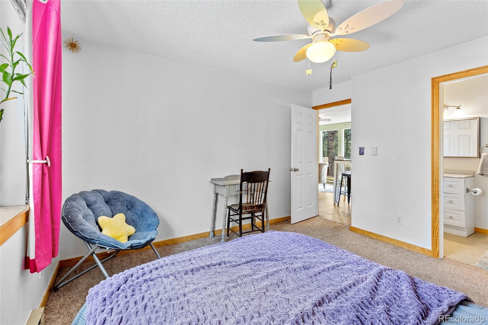 MLS Image #8 for 987  wisp creek drive,bailey, Colorado