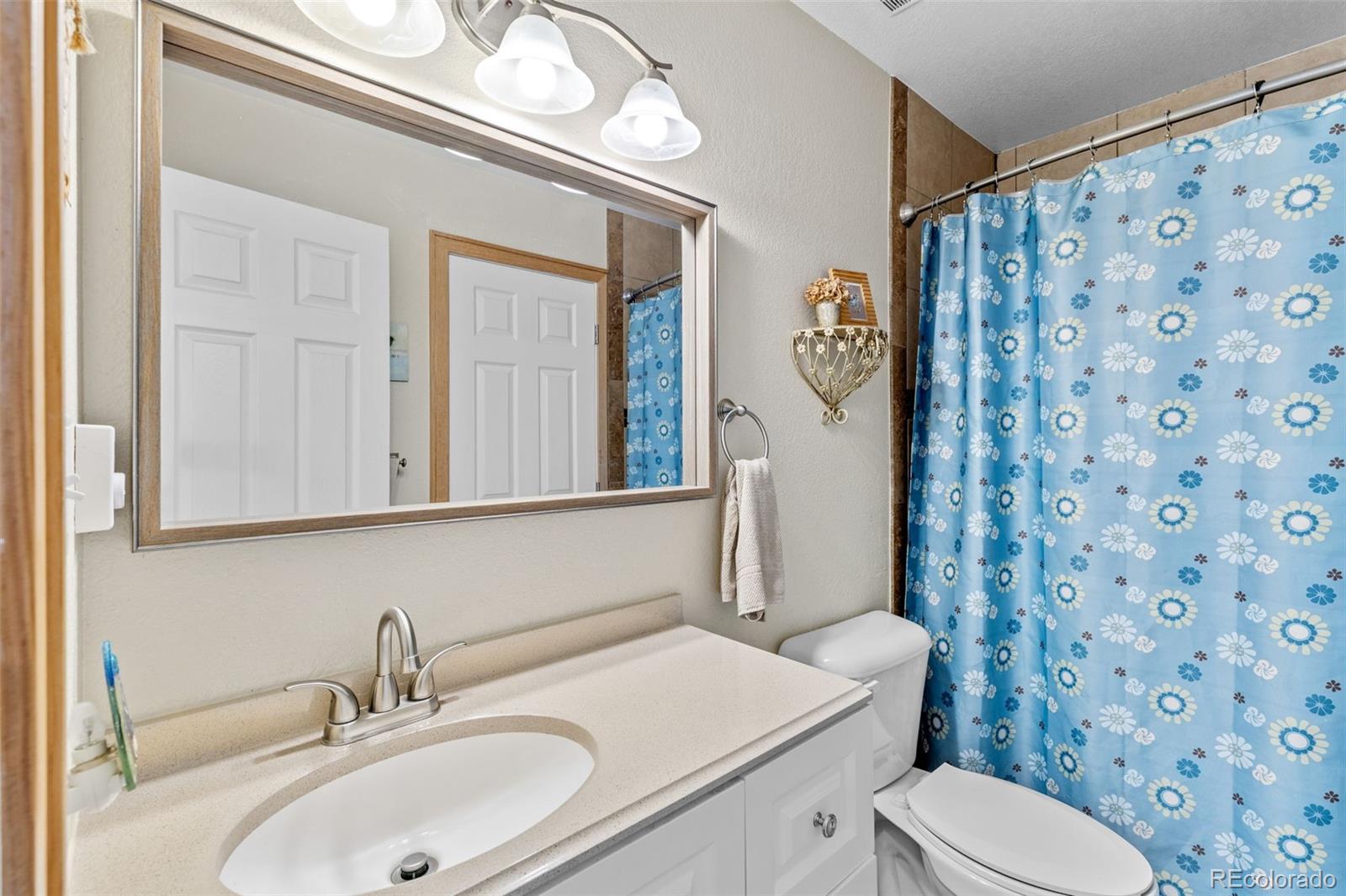 MLS Image #9 for 987  wisp creek drive,bailey, Colorado