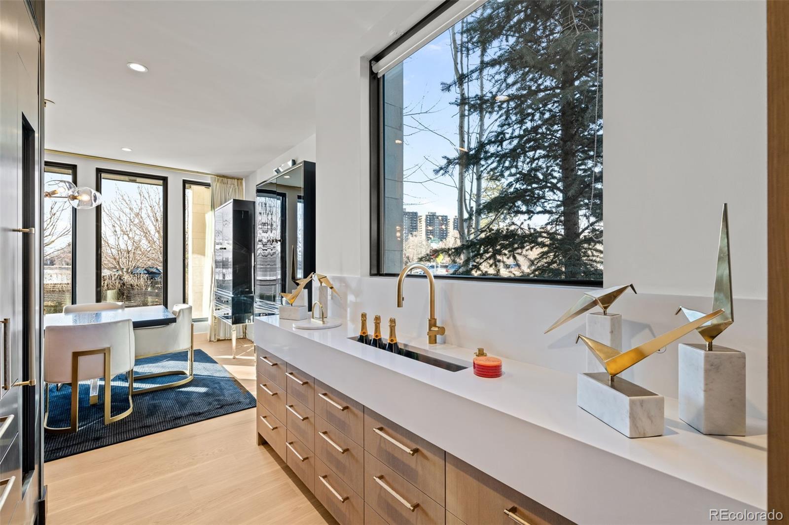 MLS Image #8 for 600 s franklin street,denver, Colorado