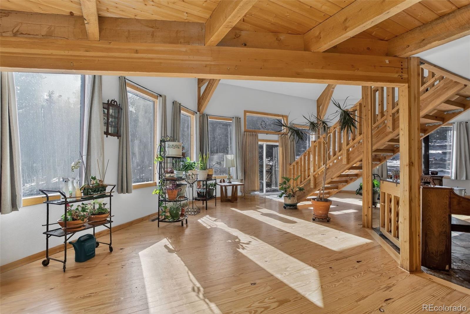 MLS Image #18 for 189  hard way road,ward, Colorado