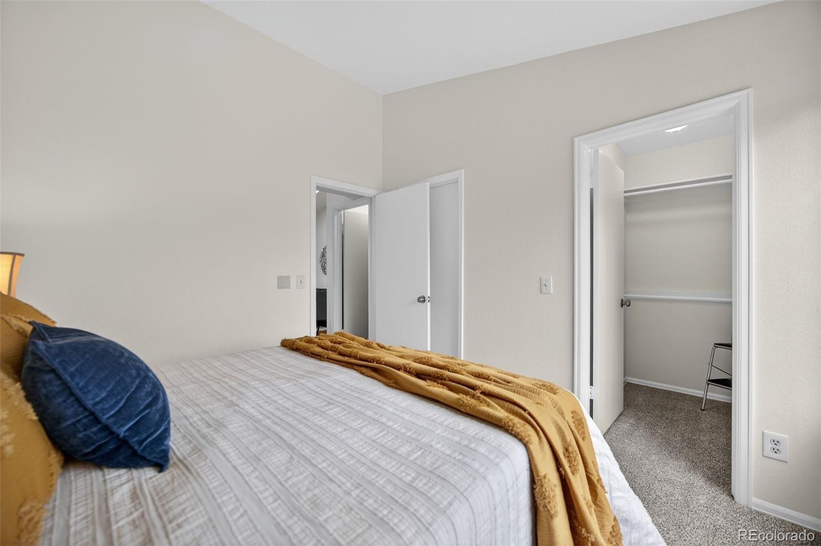 MLS Image #8 for 839  summer drive,highlands ranch, Colorado
