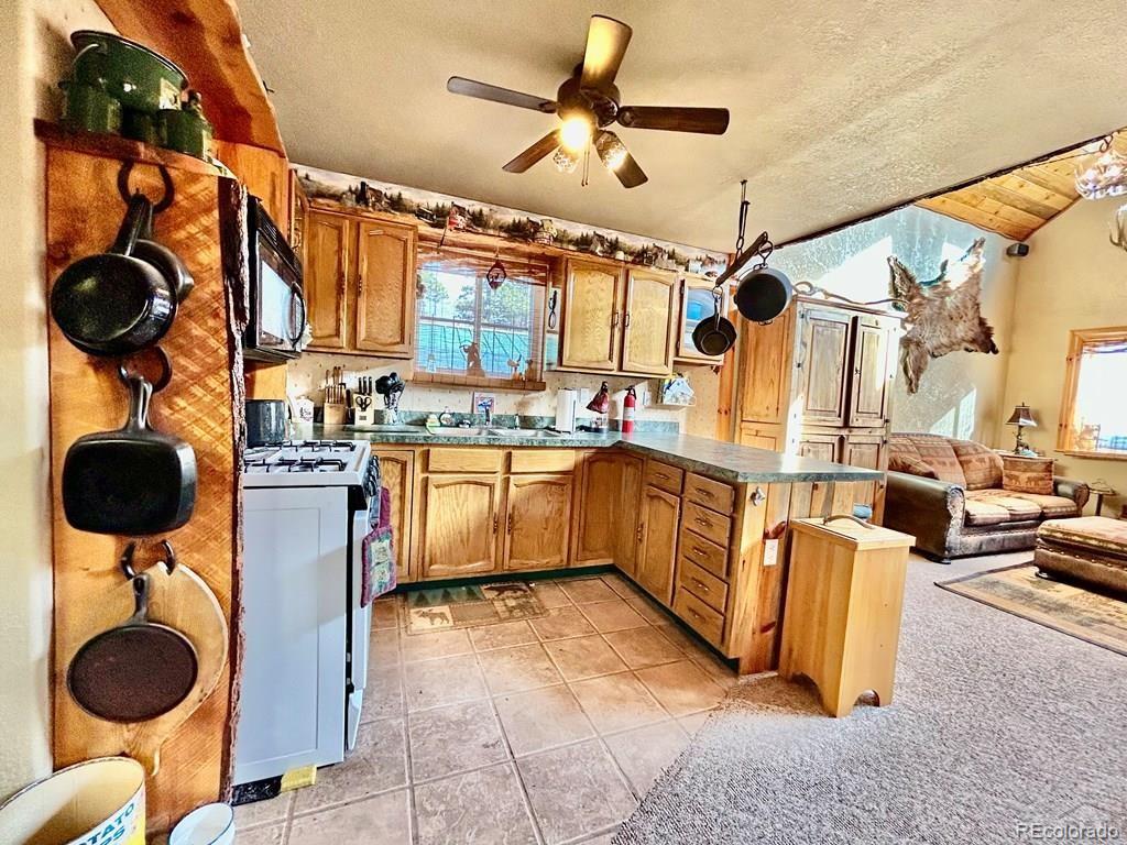 MLS Image #5 for 10401  windy ridge road,aguilar, Colorado