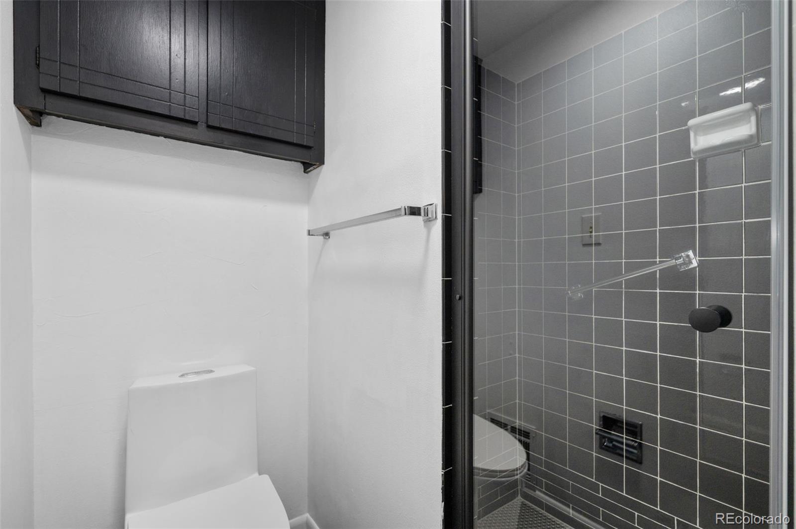 MLS Image #19 for 7234 s kendall court,littleton, Colorado