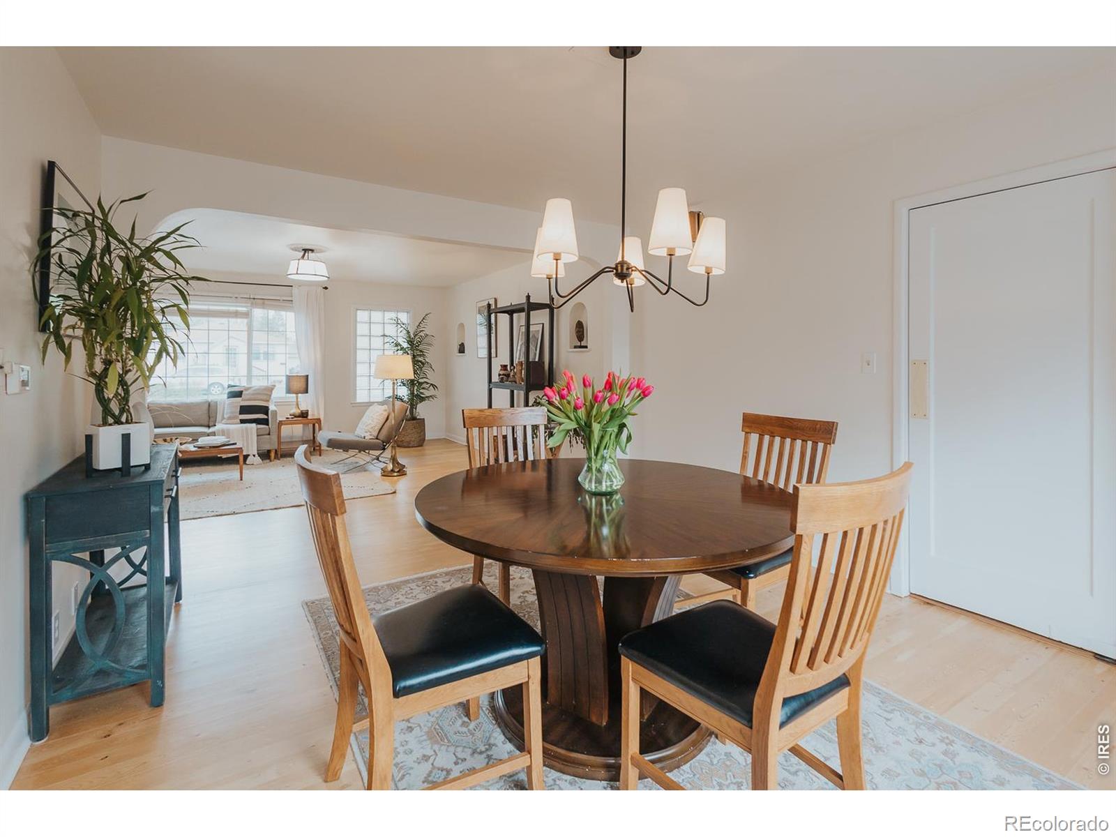 MLS Image #8 for 1539  peterson street,fort collins, Colorado