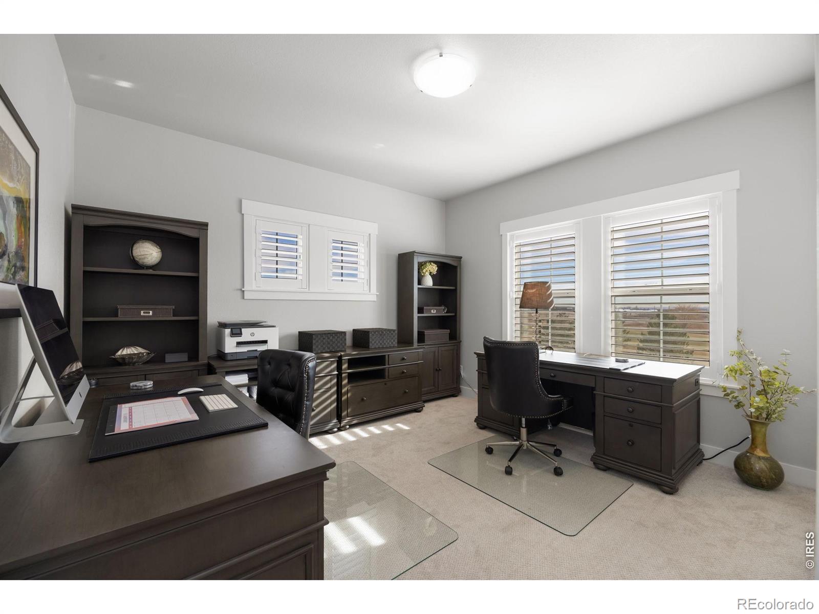 MLS Image #22 for 4304  ardglass lane,timnath, Colorado