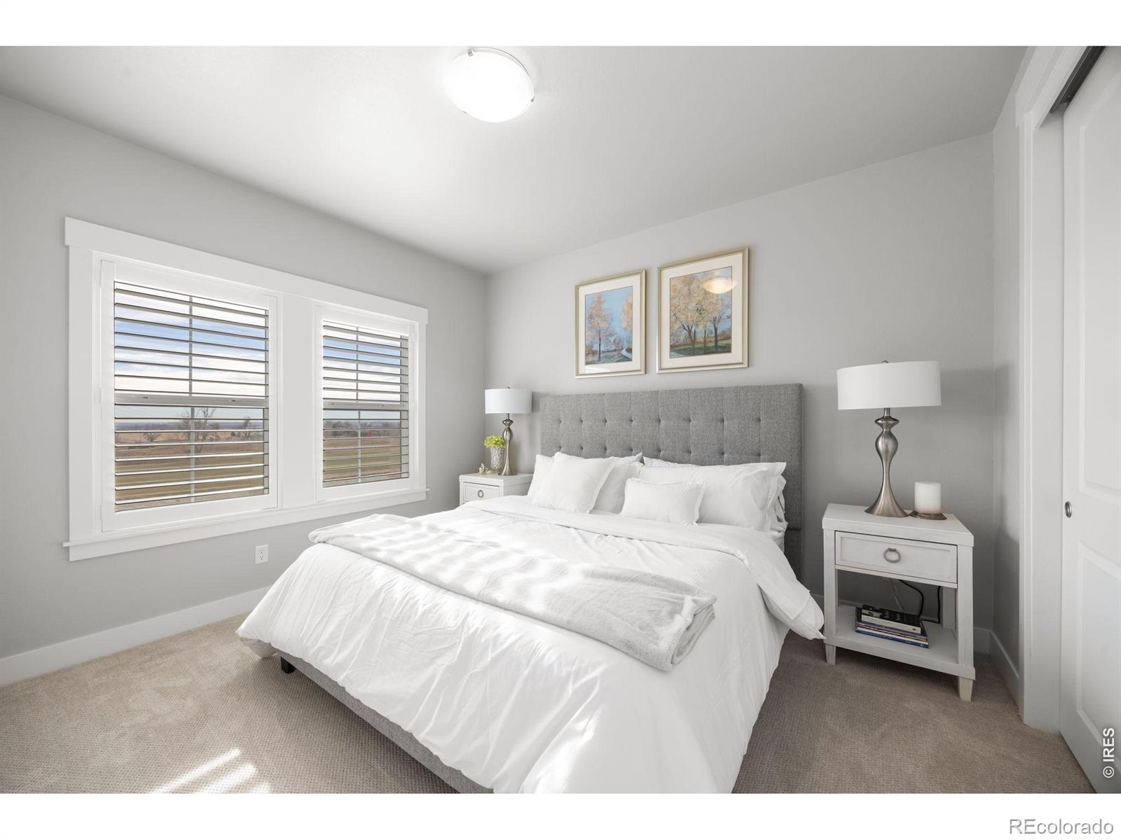 MLS Image #24 for 4304  ardglass lane,timnath, Colorado