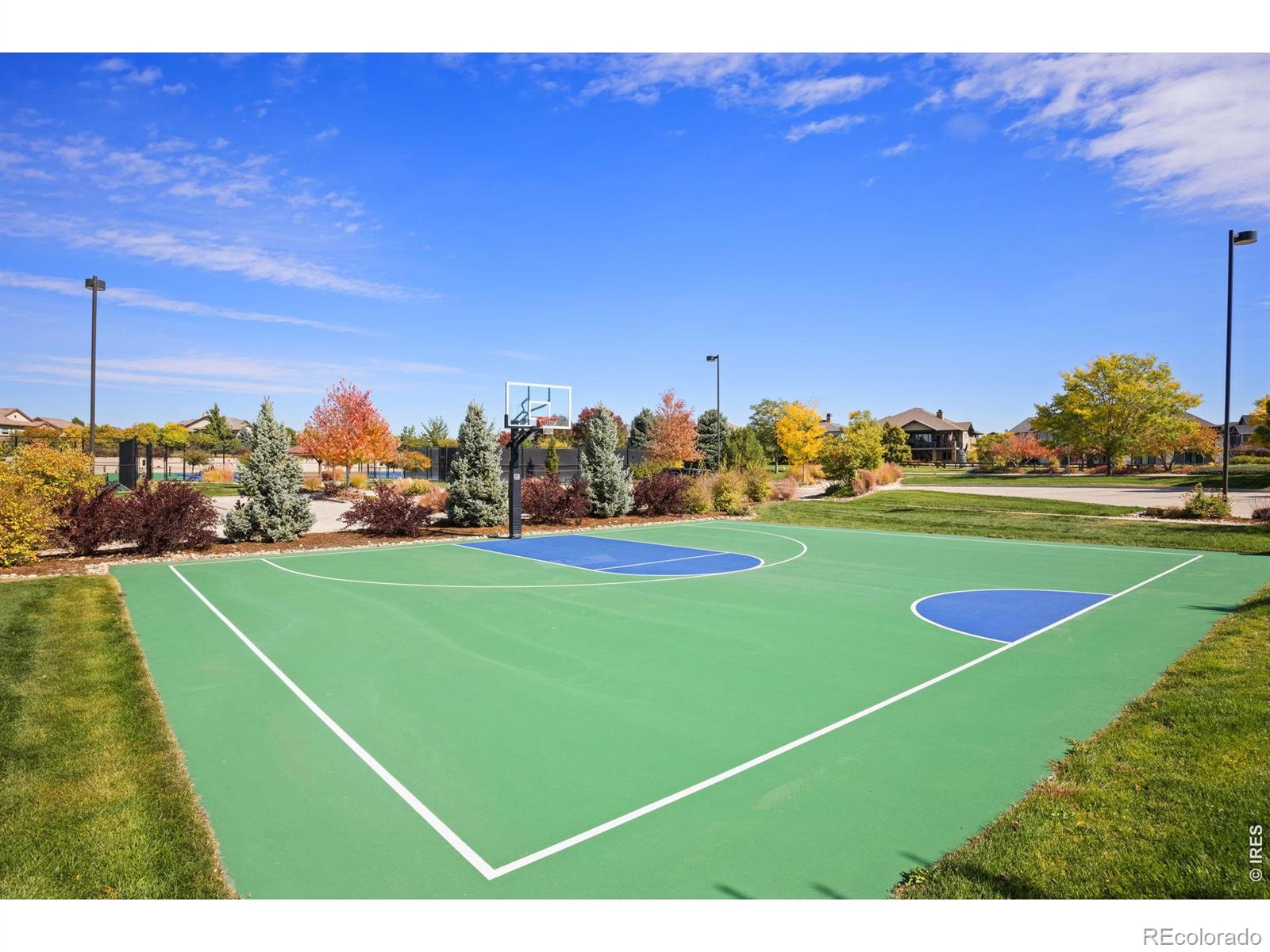 MLS Image #43 for 4304  ardglass lane,timnath, Colorado