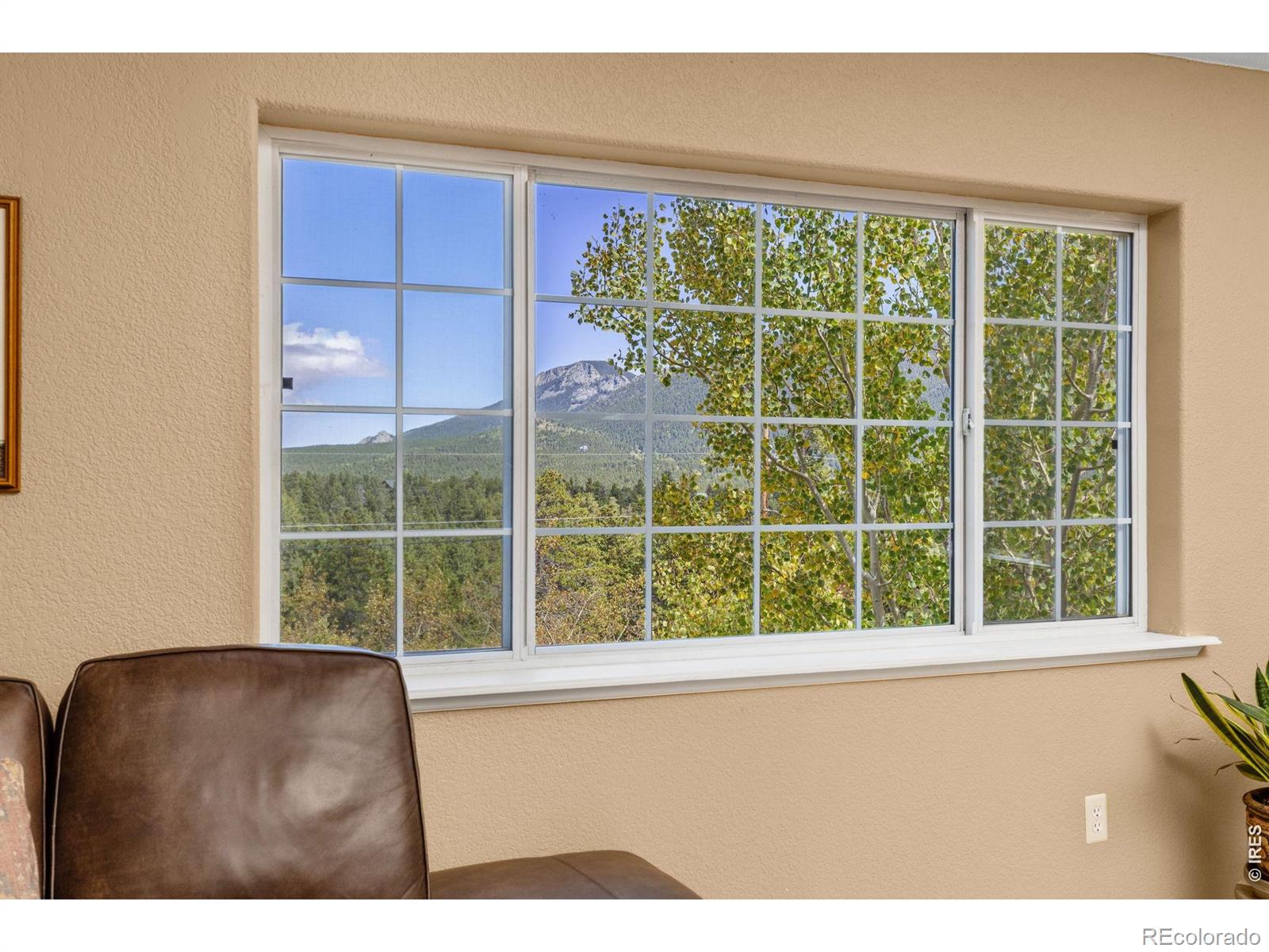 MLS Image #11 for 798 s dory lakes drive,black hawk, Colorado