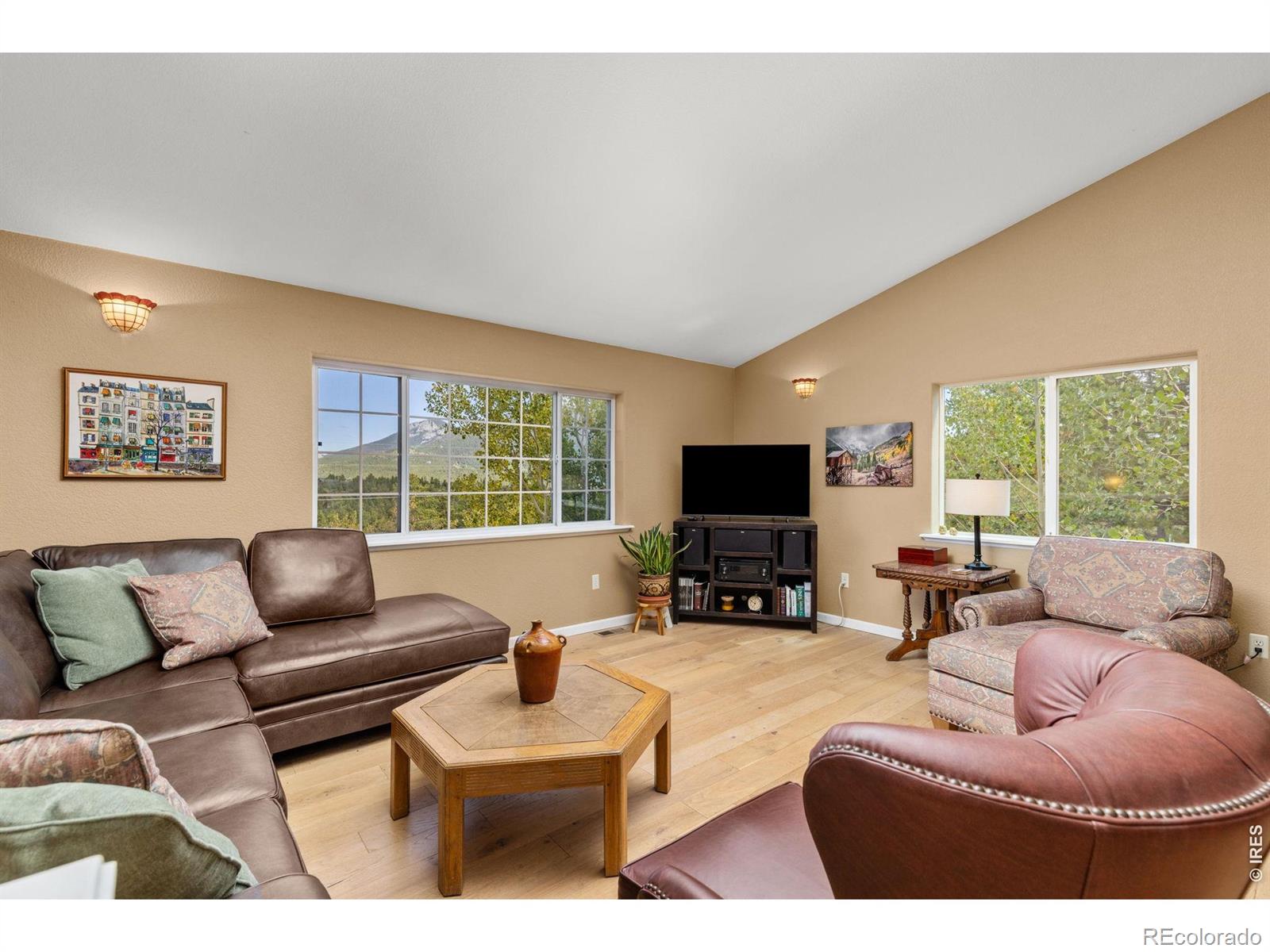 MLS Image #3 for 798 s dory lakes drive,black hawk, Colorado