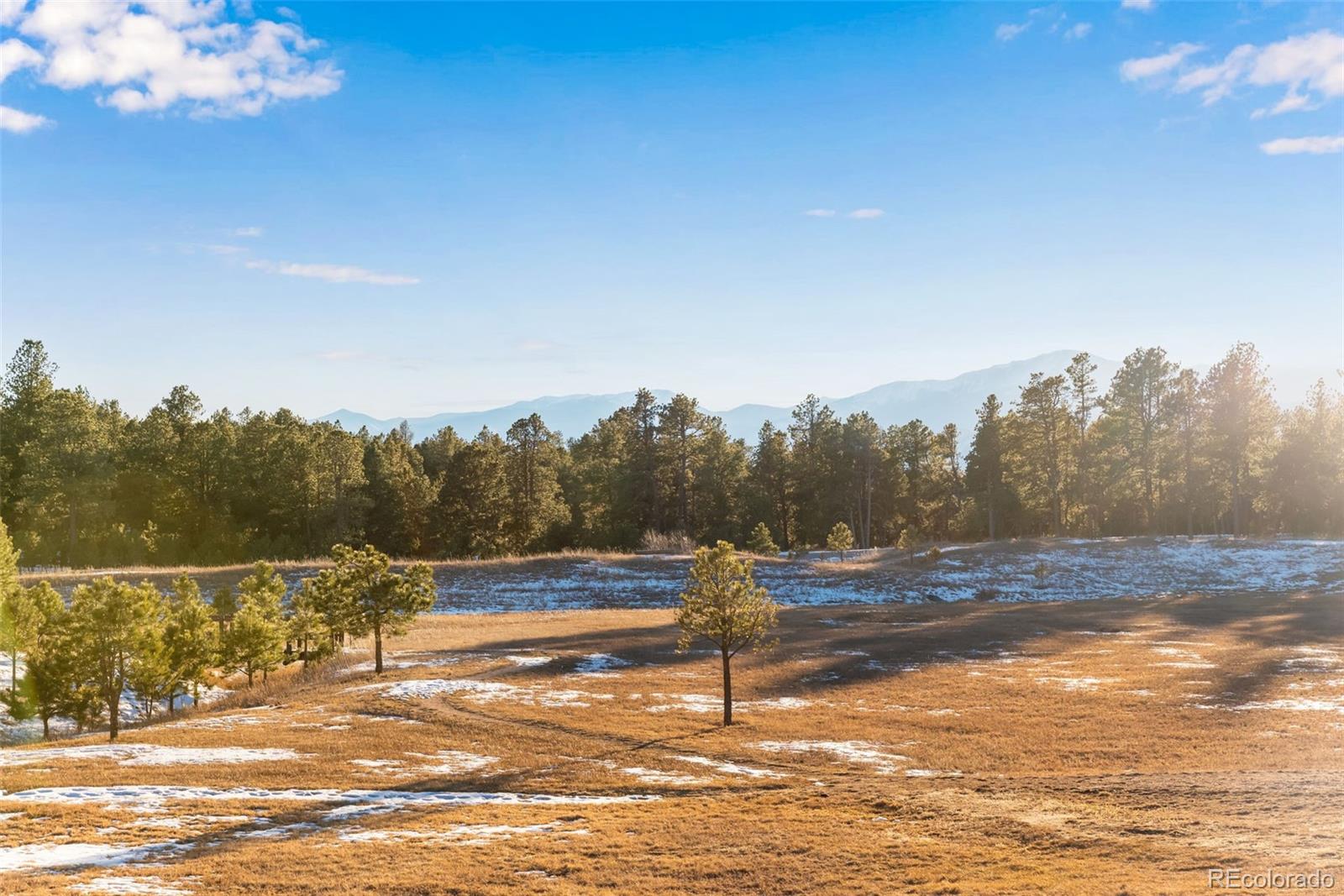 MLS Image #40 for 16075  winding trail road,colorado springs, Colorado