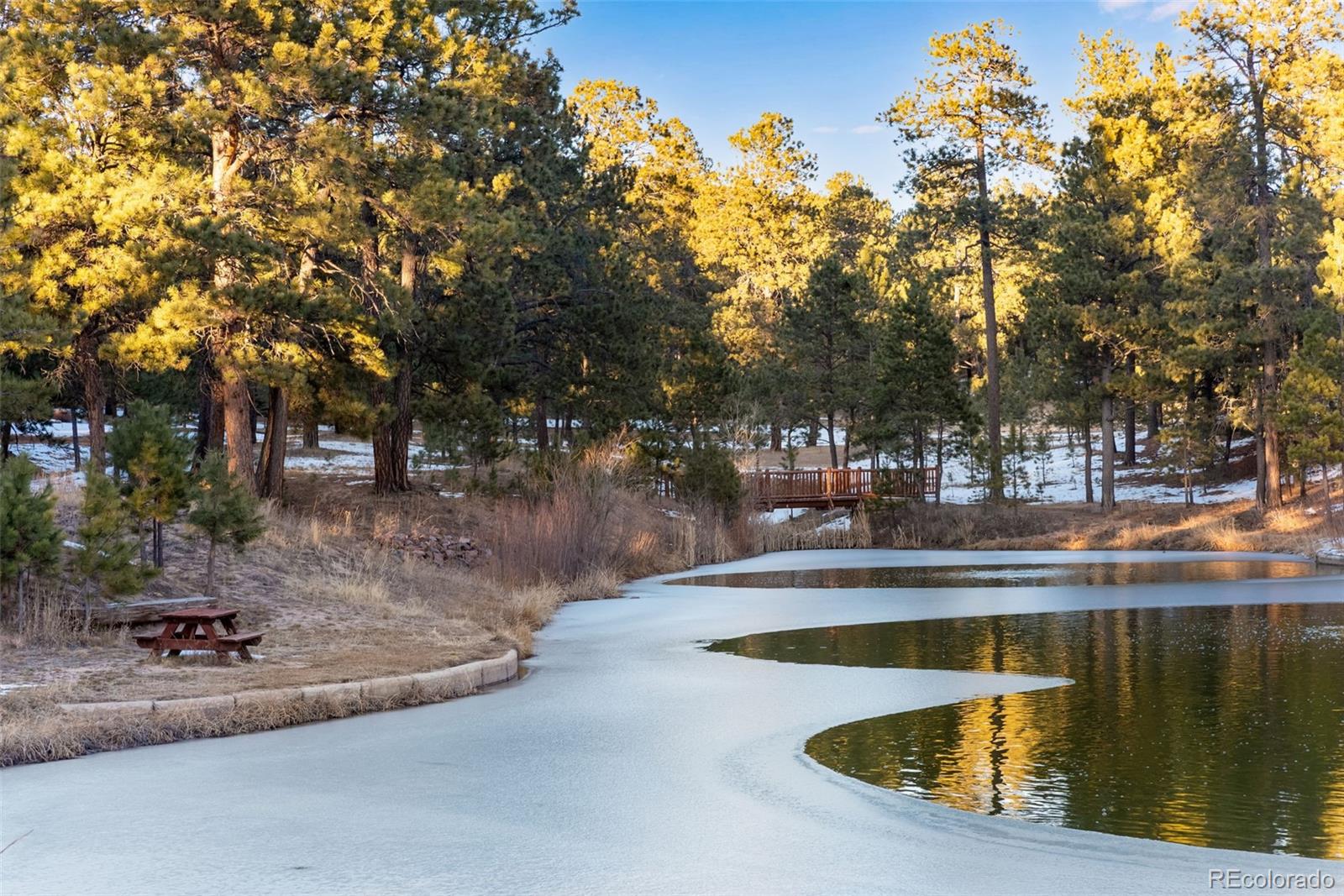 MLS Image #41 for 16075  winding trail road,colorado springs, Colorado