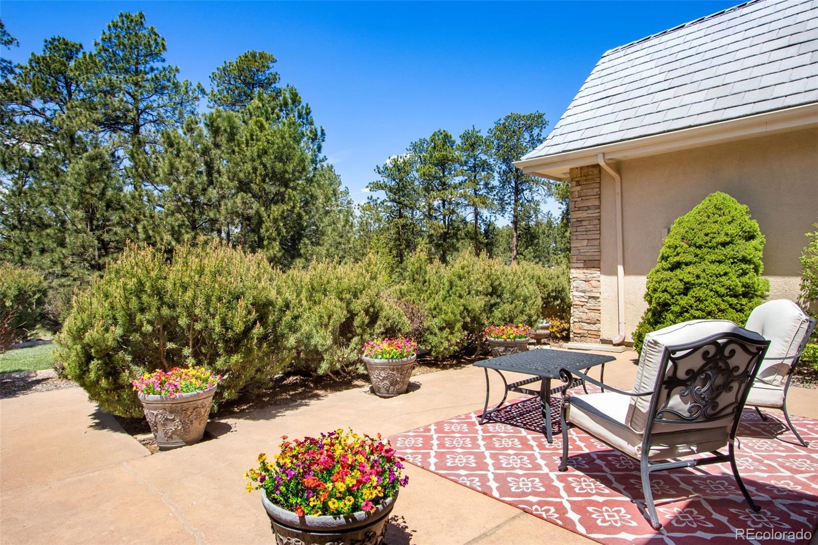 MLS Image #5 for 16075  winding trail road,colorado springs, Colorado