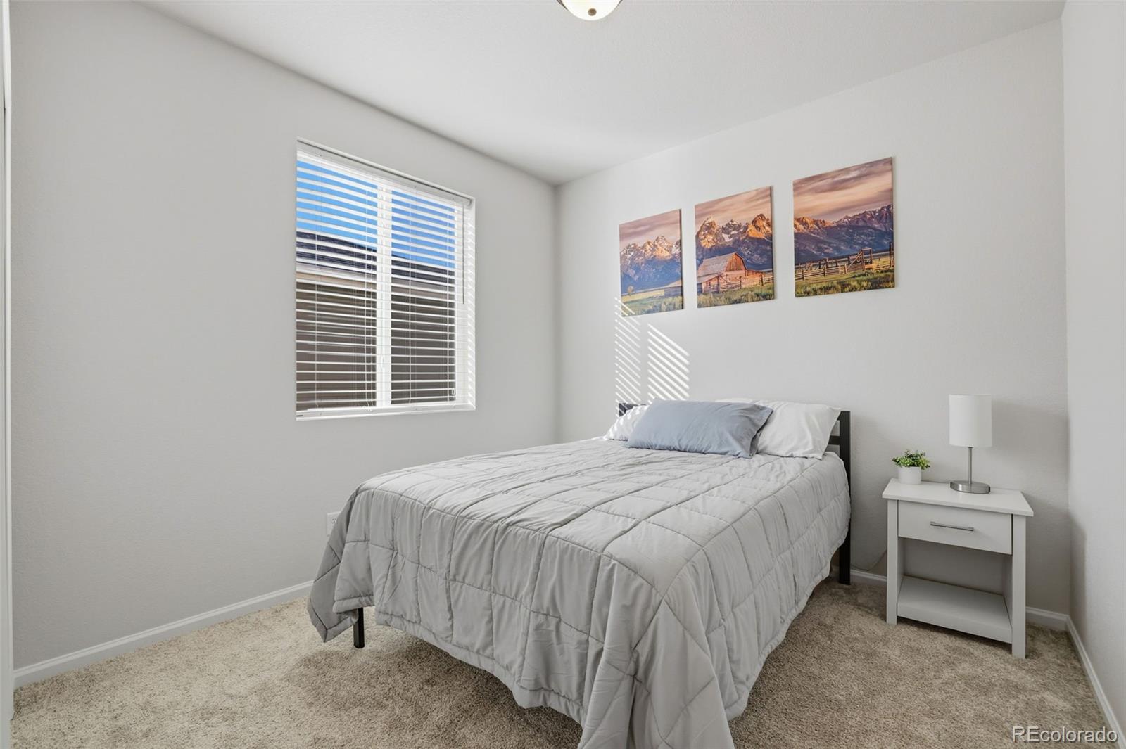 MLS Image #24 for 8735  scarborough drive,colorado springs, Colorado