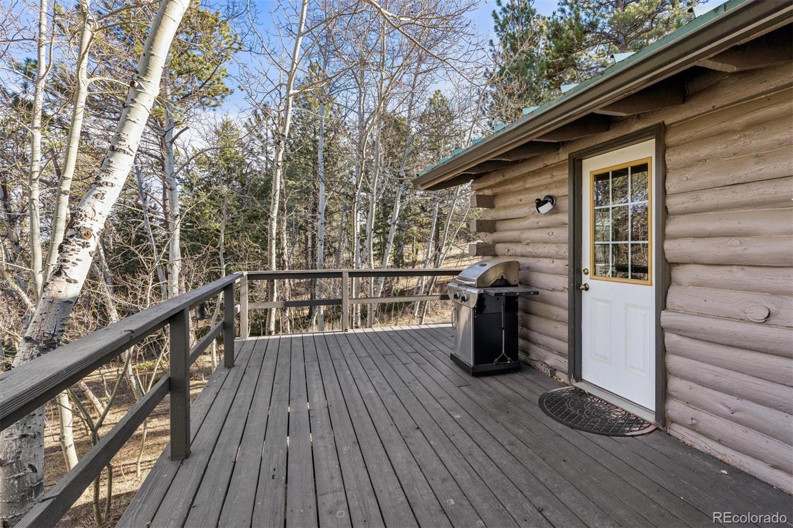 MLS Image #22 for 150  mount fisher court,livermore, Colorado