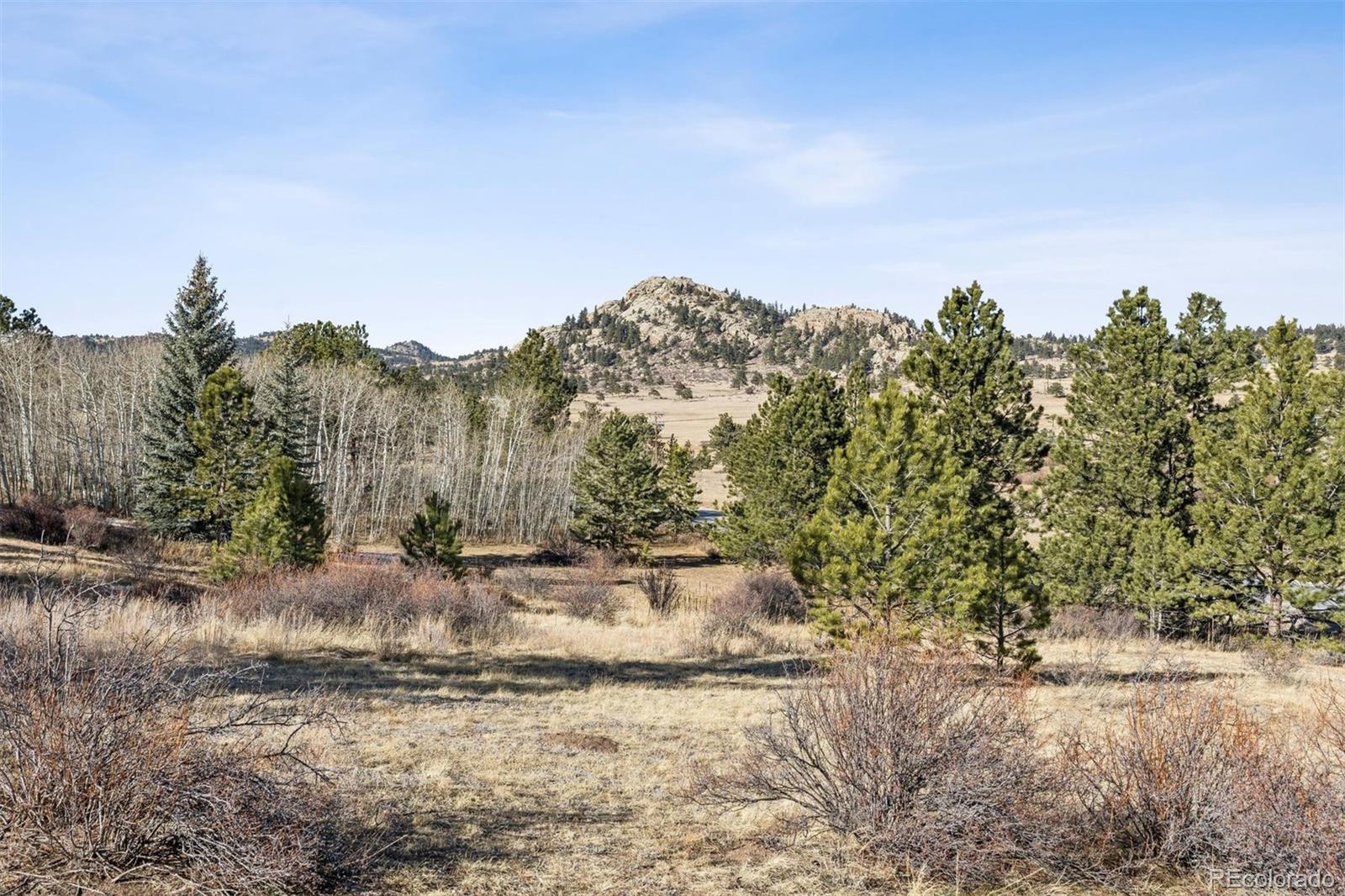 MLS Image #32 for 150  mount fisher court,livermore, Colorado