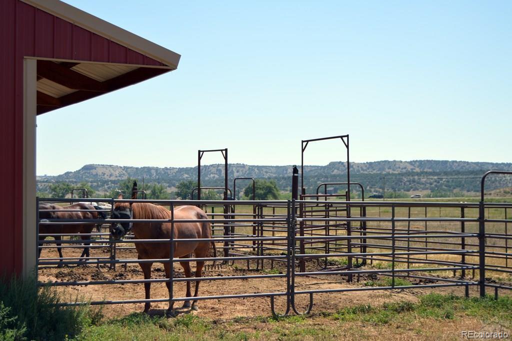 MLS Image #45 for 6053  muddy creek road,pueblo, Colorado