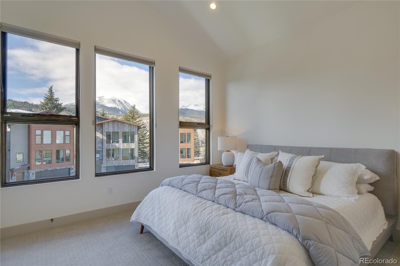 MLS Image #20 for 111  geneva drive,silverthorne, Colorado
