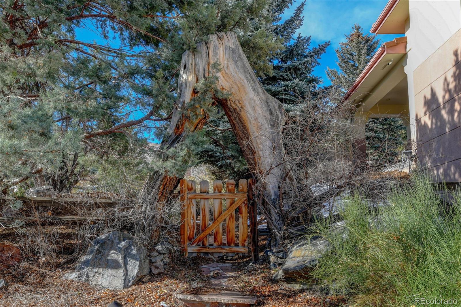 MLS Image #41 for 16118  mountain bluebird way,morrison, Colorado