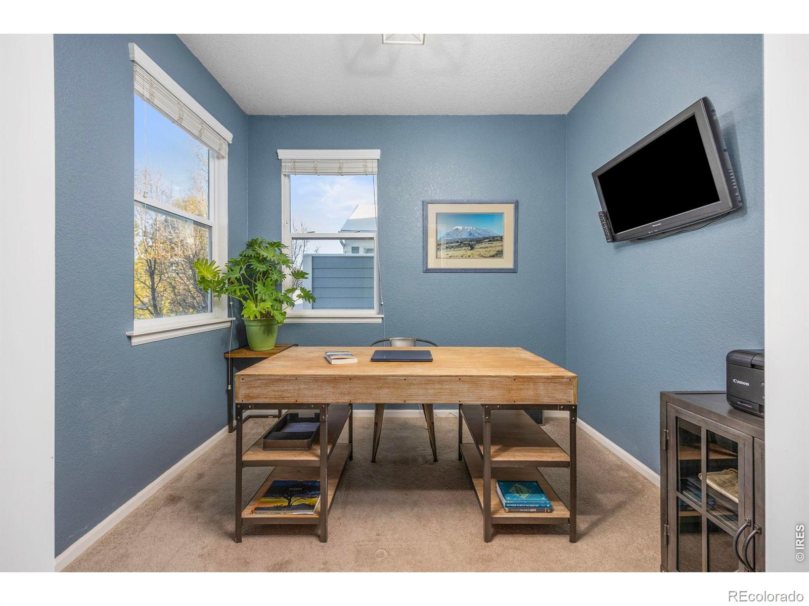 MLS Image #14 for 2067  grays peak drive,loveland, Colorado