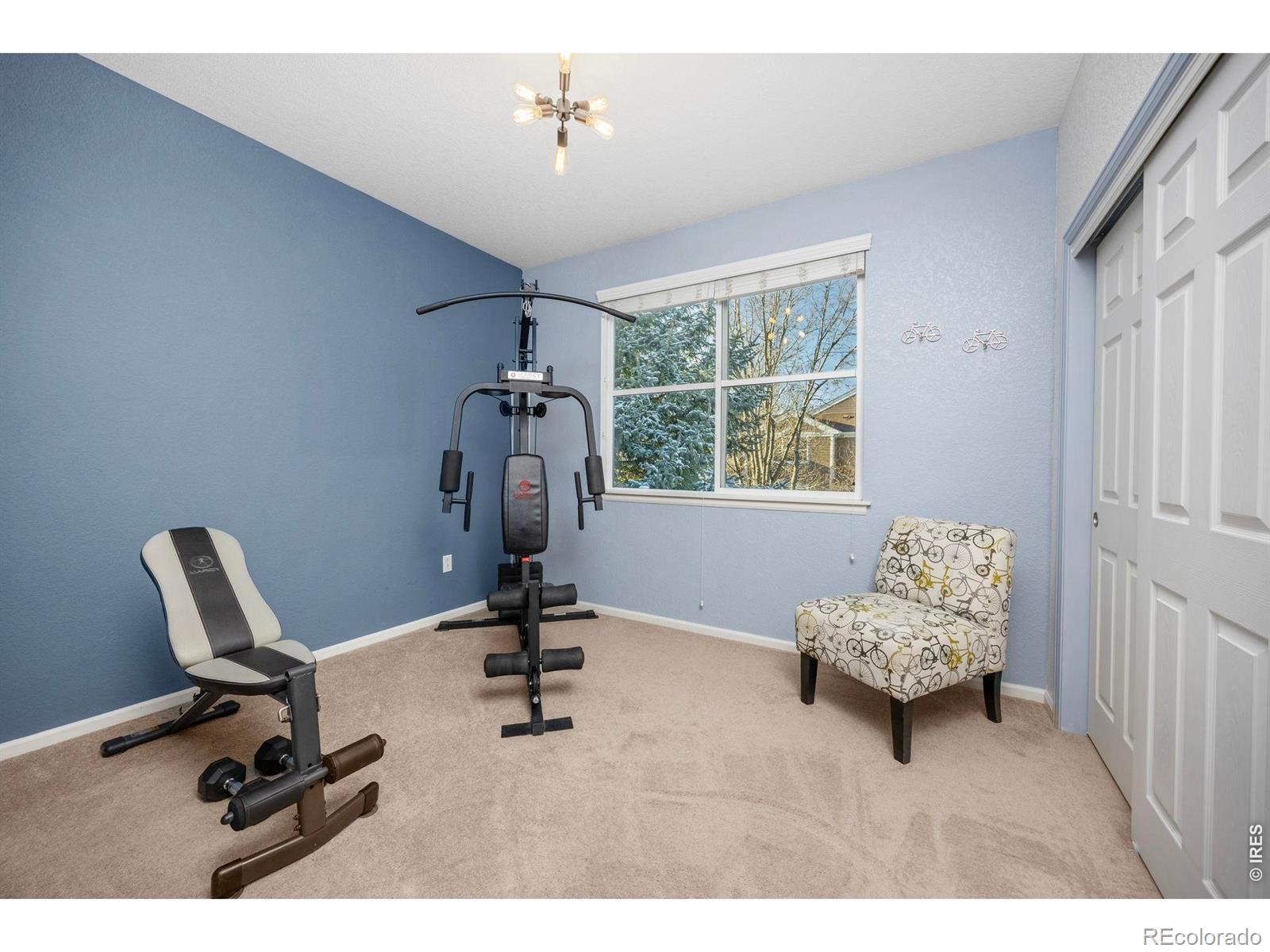 MLS Image #15 for 2067  grays peak drive,loveland, Colorado