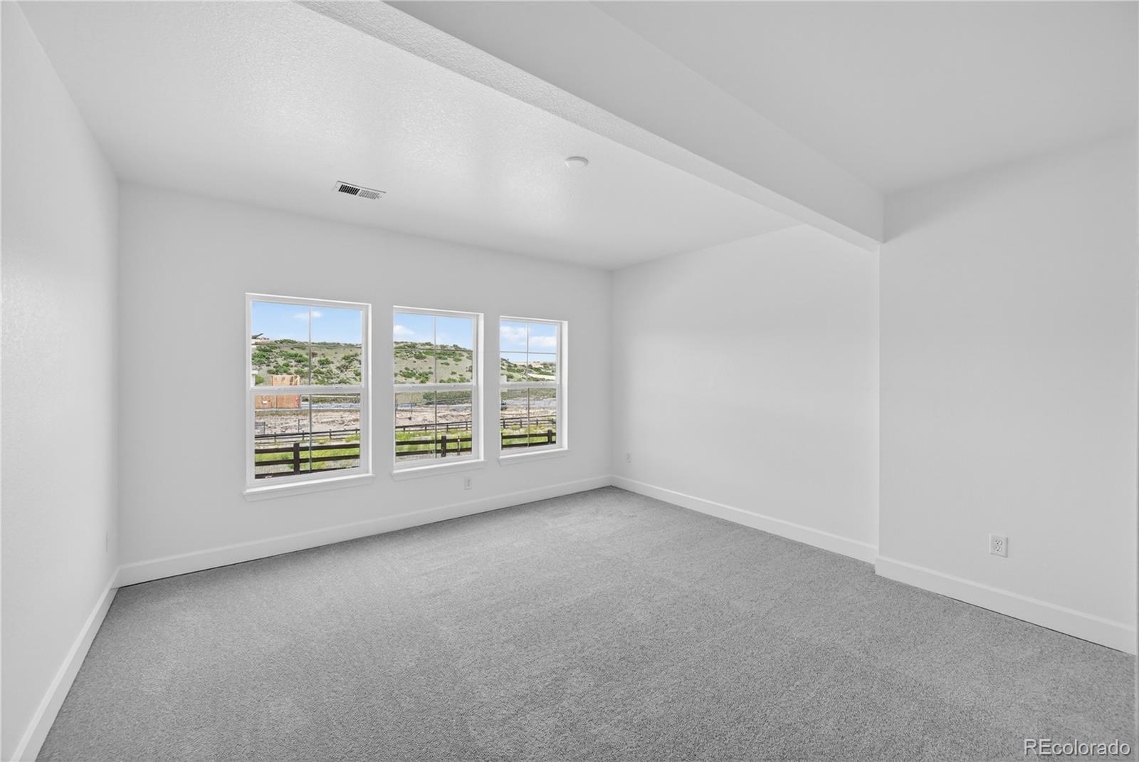 MLS Image #21 for 4051  descent street,castle rock, Colorado