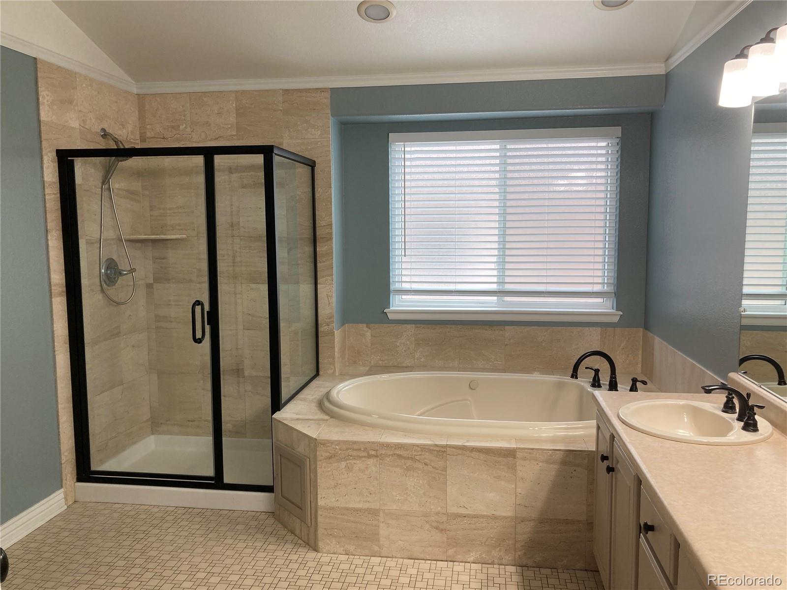 MLS Image #17 for 7808  arundel lane,lone tree, Colorado