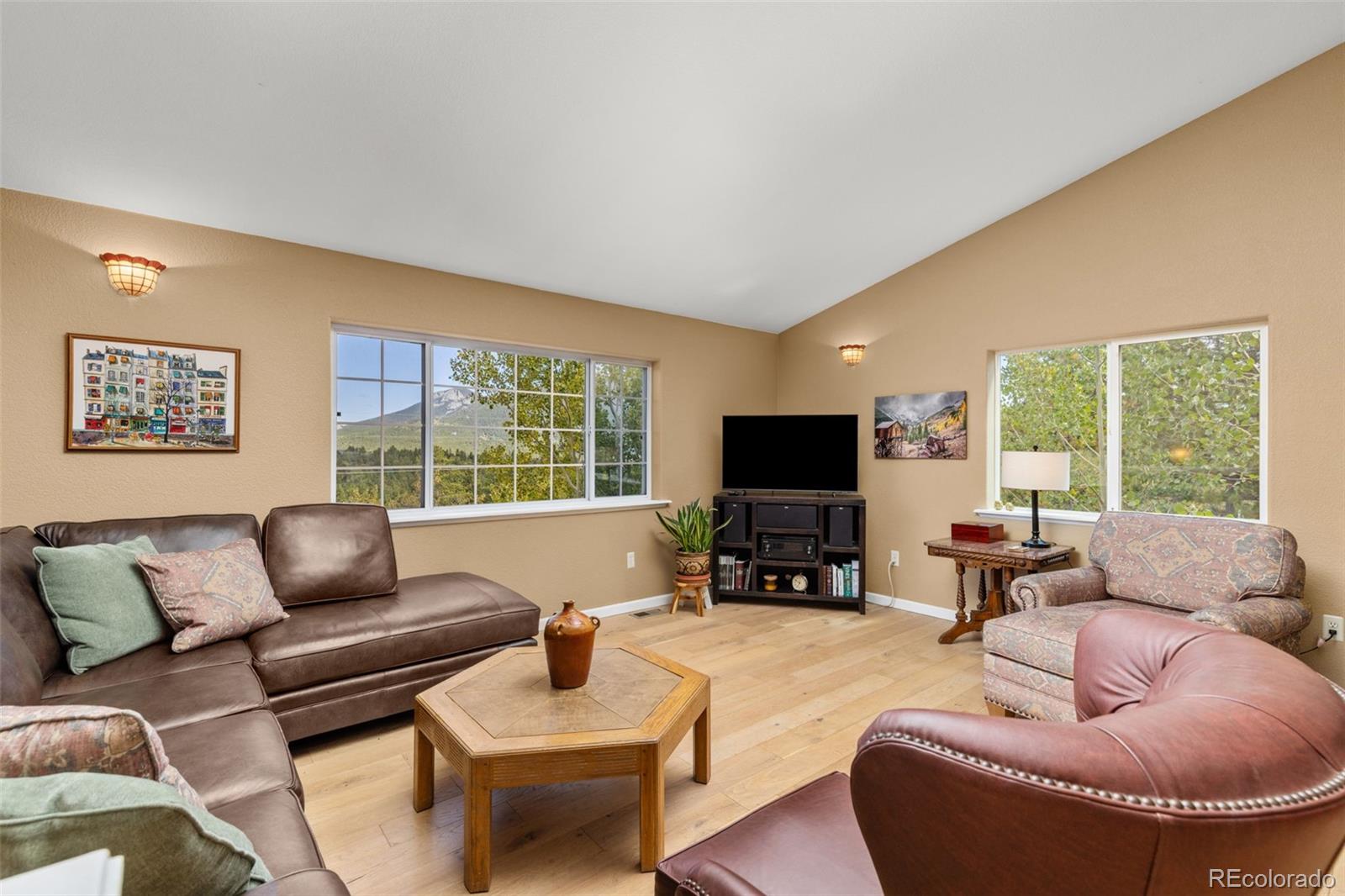 MLS Image #10 for 798 s dory lakes drive,black hawk, Colorado