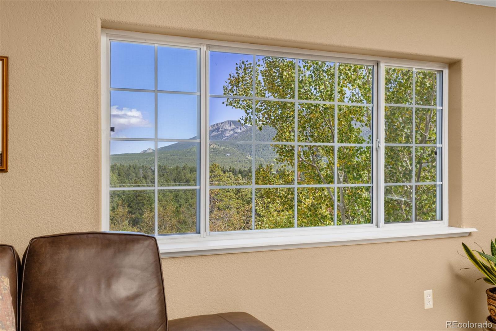 MLS Image #11 for 798 s dory lakes drive,black hawk, Colorado
