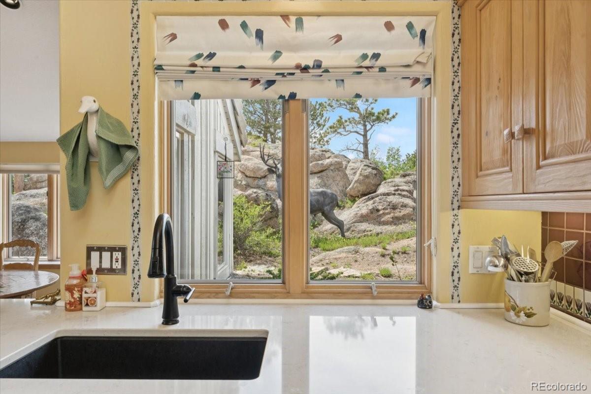 MLS Image #12 for 2611  fox acres drive drive,red feather lakes, Colorado
