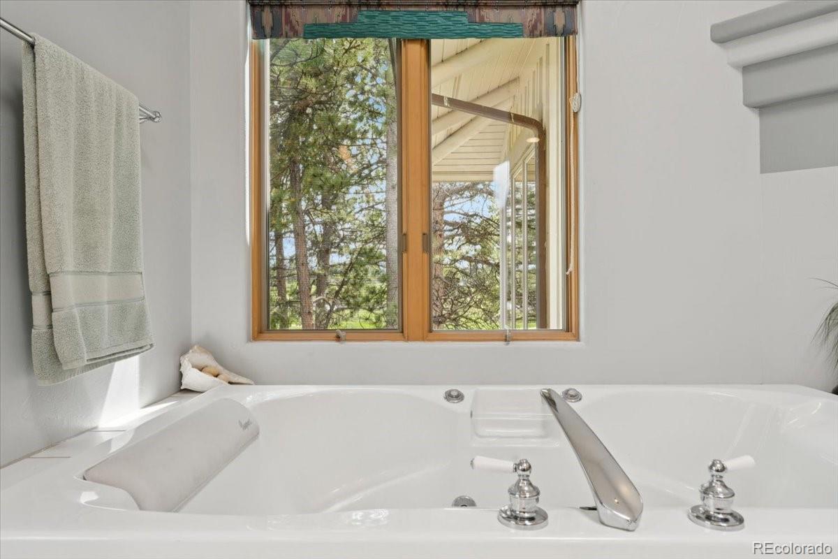 MLS Image #22 for 2611  fox acres drive drive,red feather lakes, Colorado