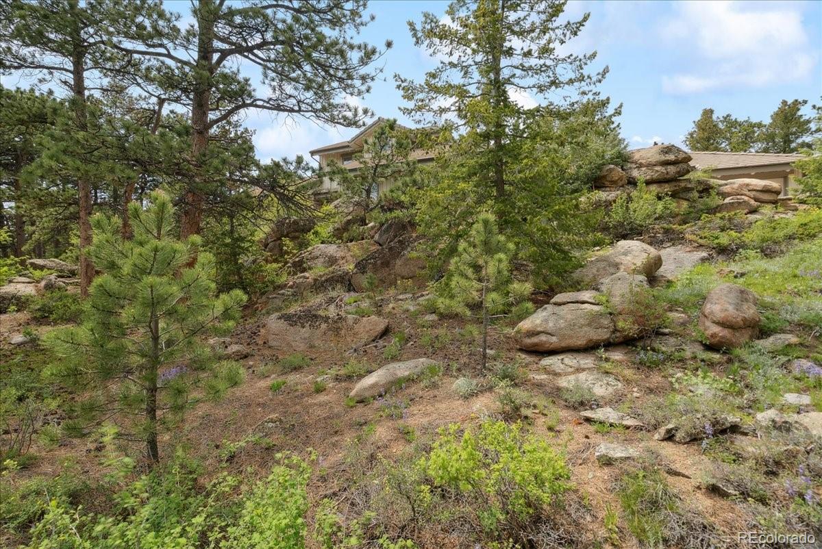 MLS Image #40 for 2611  fox acres drive drive,red feather lakes, Colorado