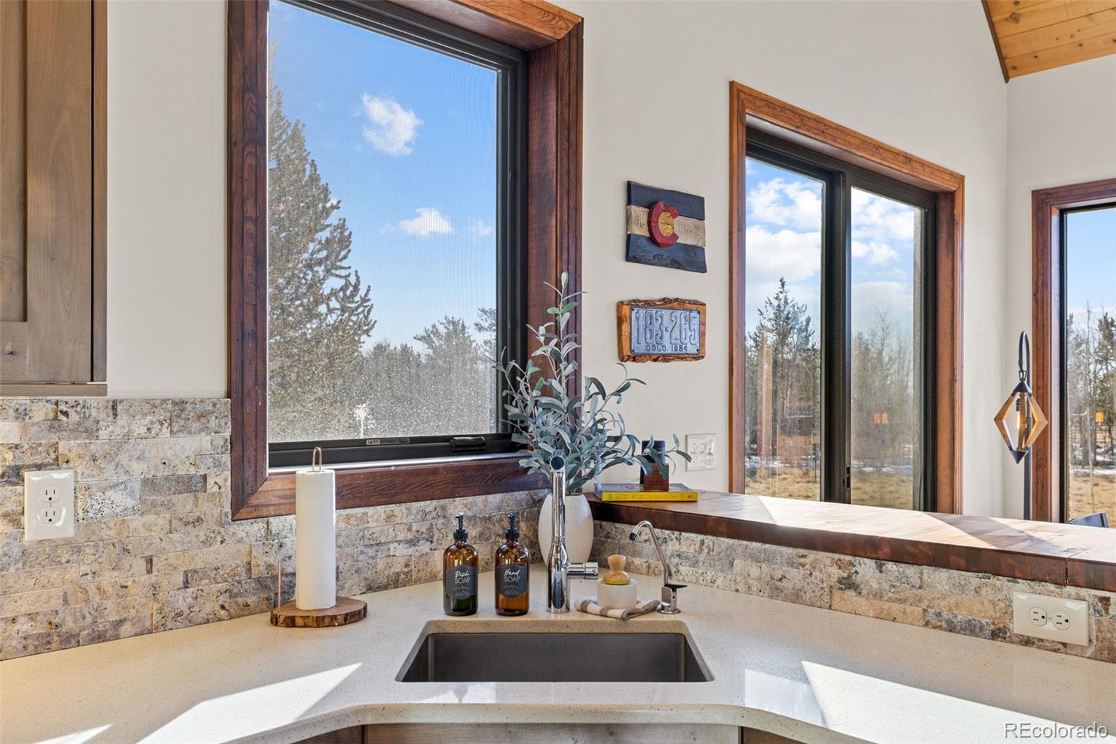 MLS Image #12 for 40  thurber court,fairplay, Colorado