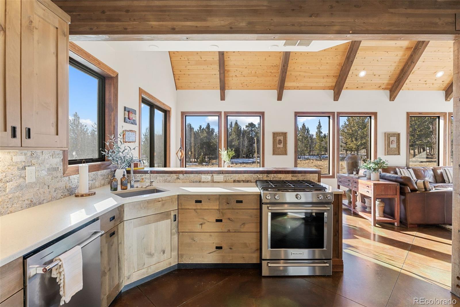 MLS Image #13 for 40  thurber court,fairplay, Colorado