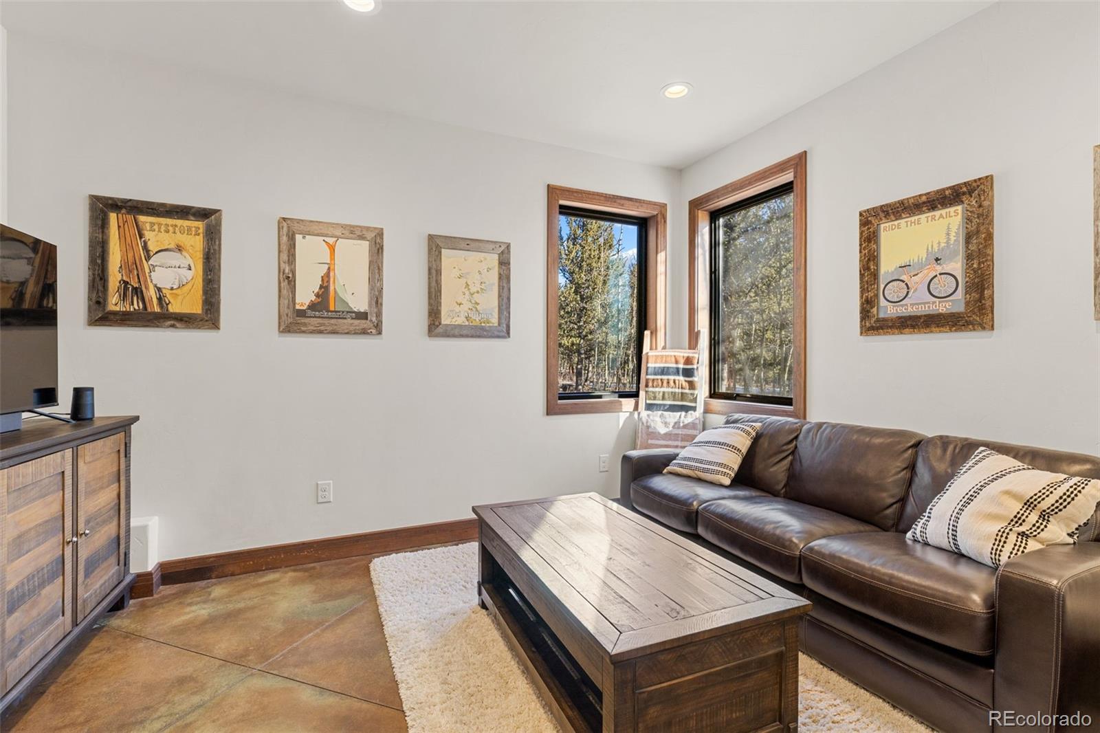 MLS Image #17 for 40  thurber court,fairplay, Colorado