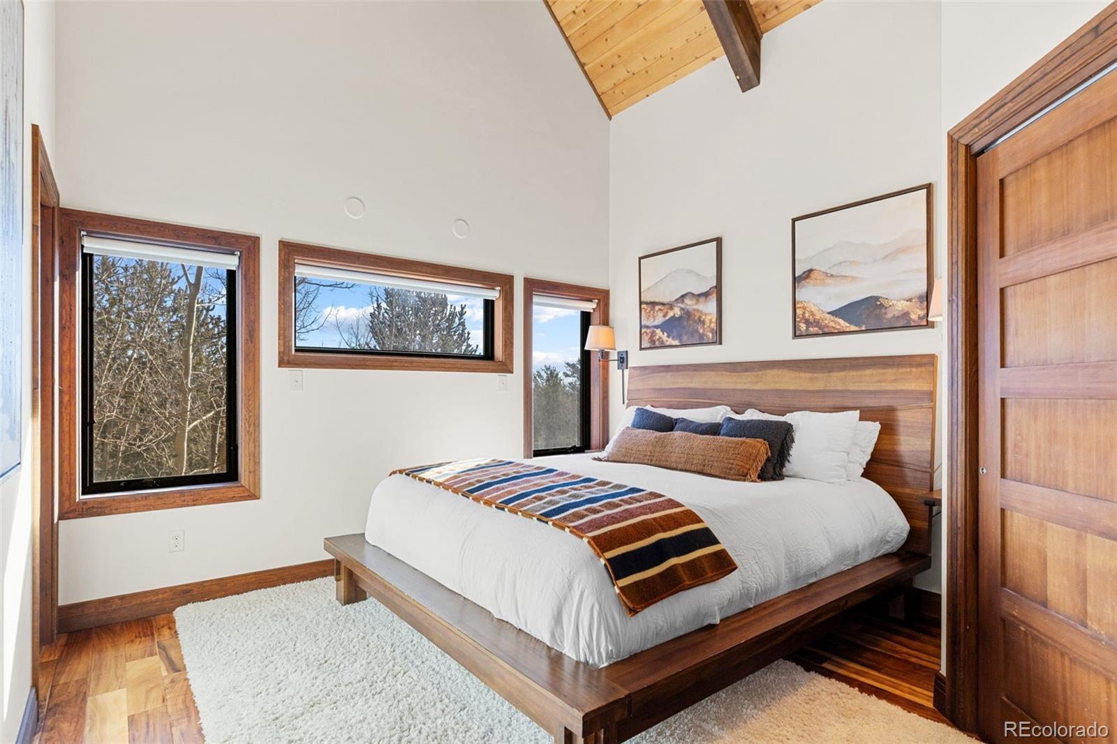 MLS Image #25 for 40  thurber court,fairplay, Colorado