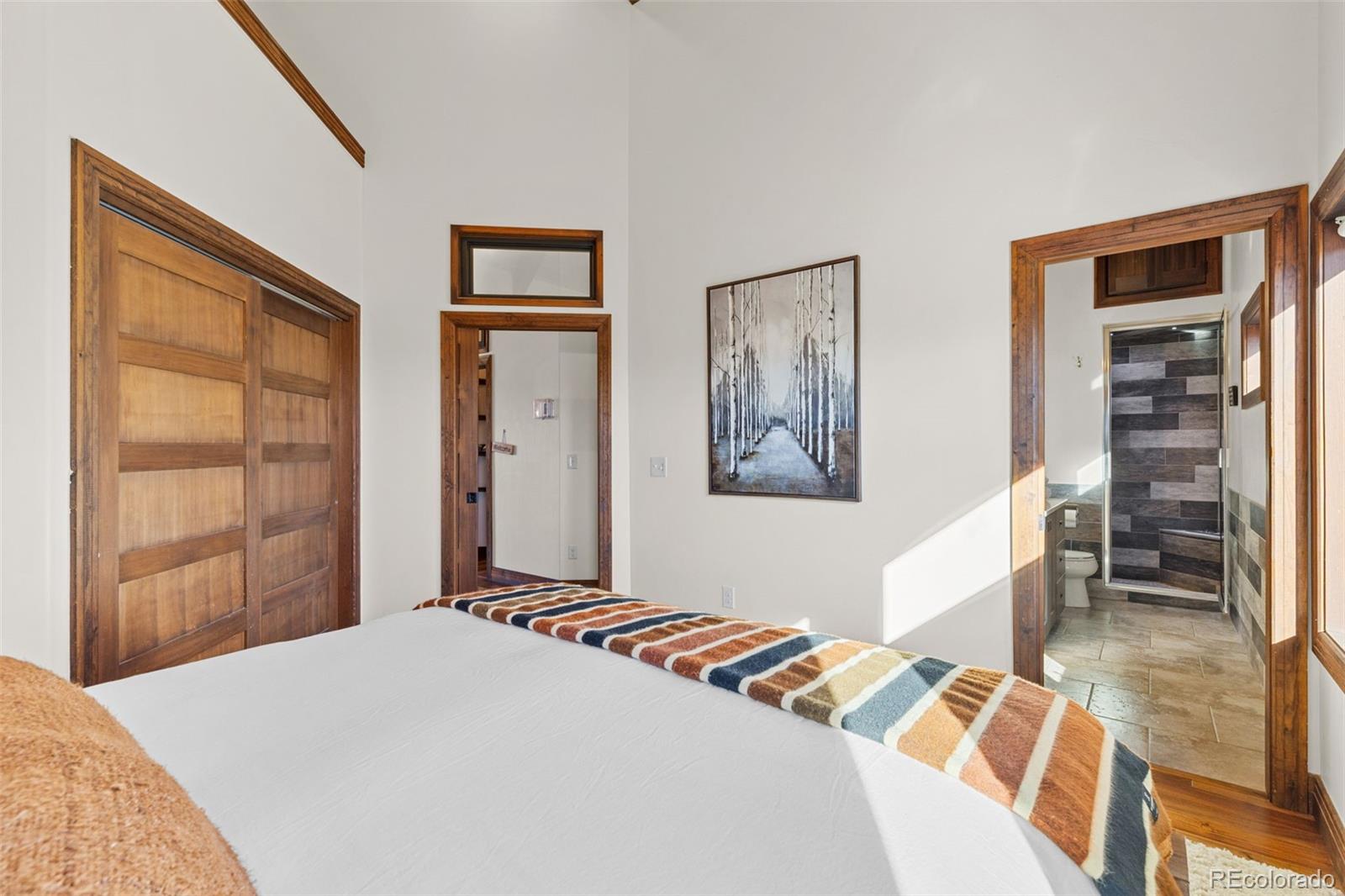 MLS Image #26 for 40  thurber court,fairplay, Colorado