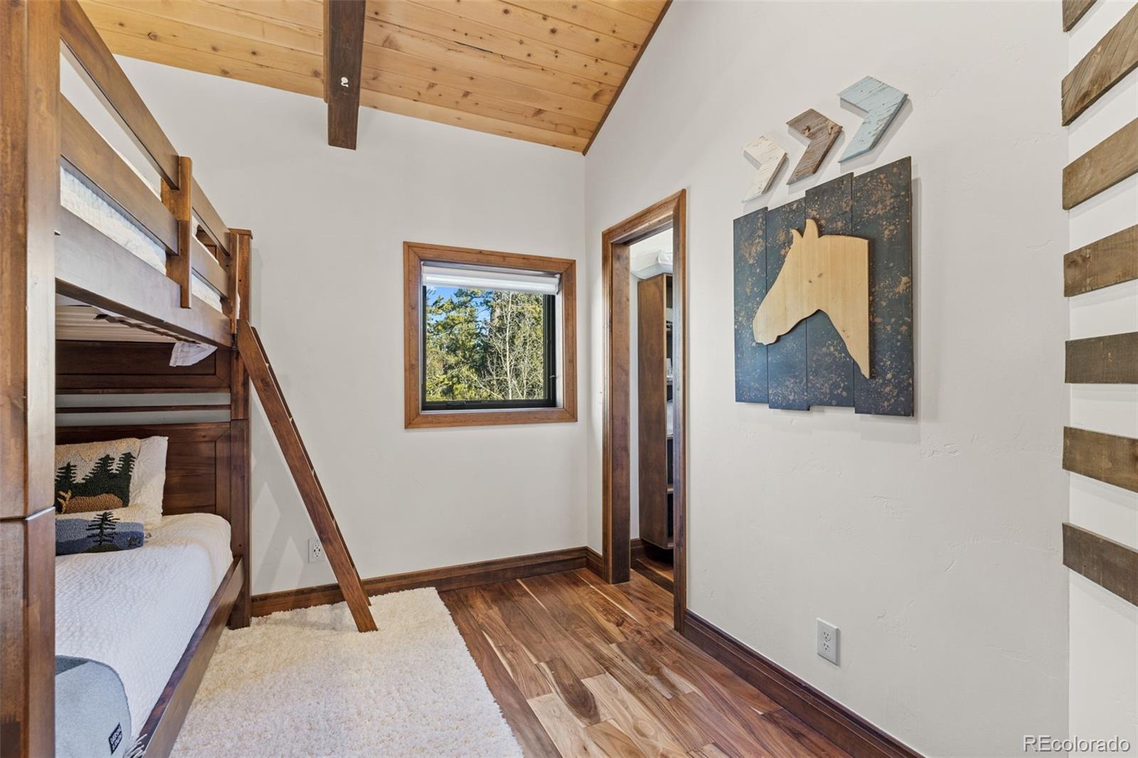 MLS Image #34 for 40  thurber court,fairplay, Colorado